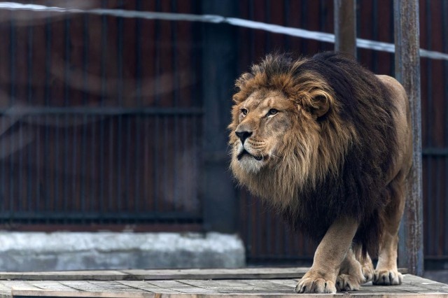   Фото из архива Калининград.Ru