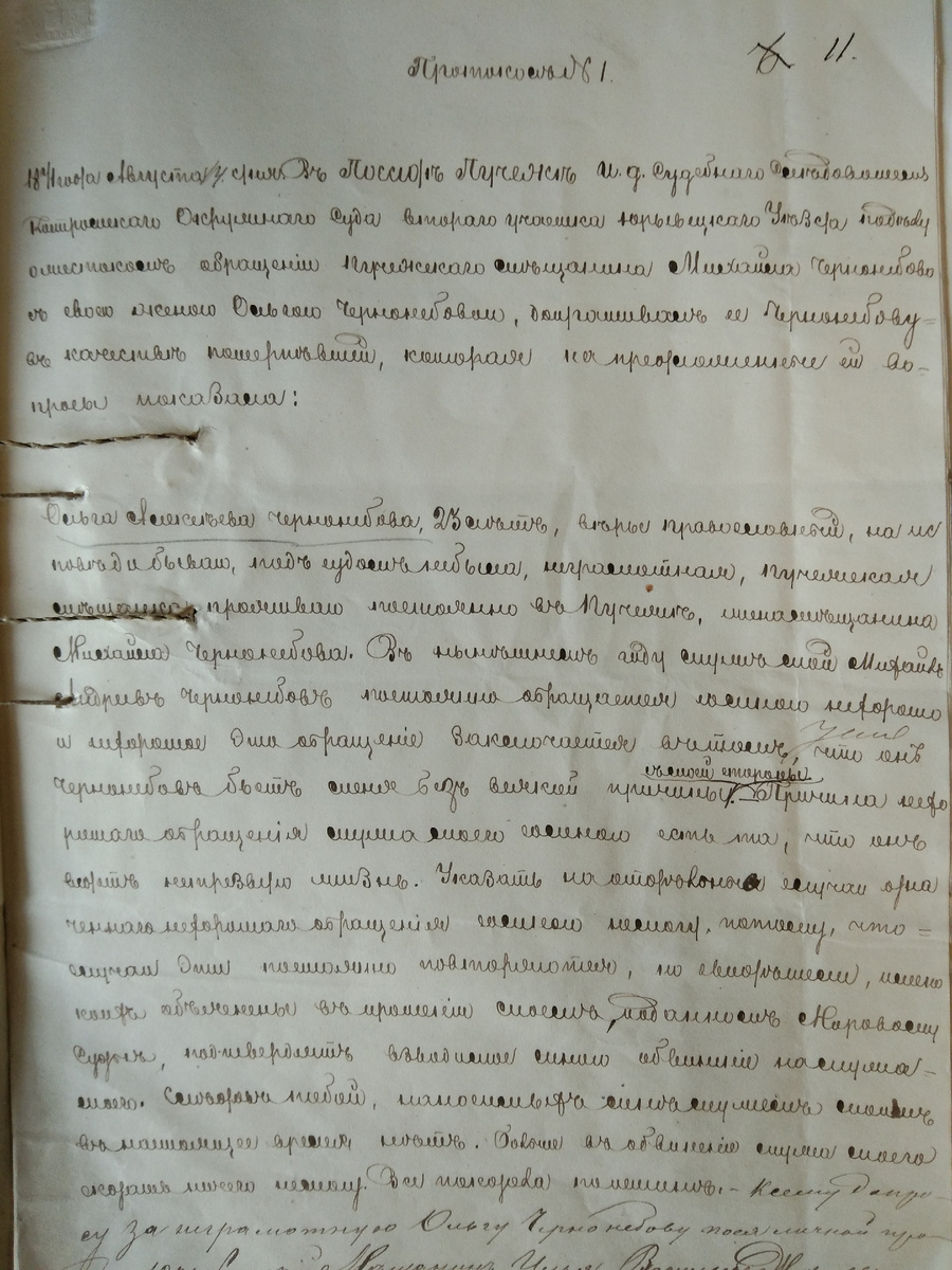 Протокол судебного разбирательства по делу М.А. и О.А. Чернонебовых