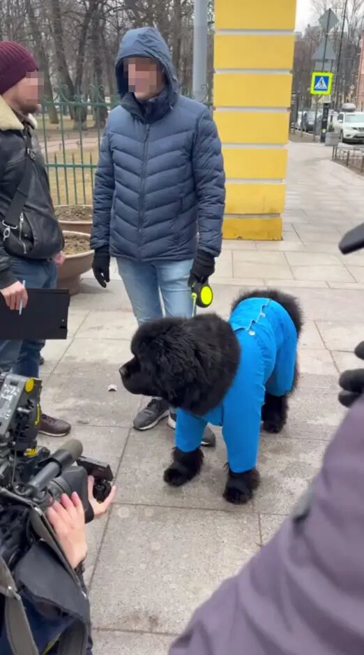    Фото: скриншот из видео пресс-службы комитета по вопросам законности, правопорядка и безопасности Петербурга.