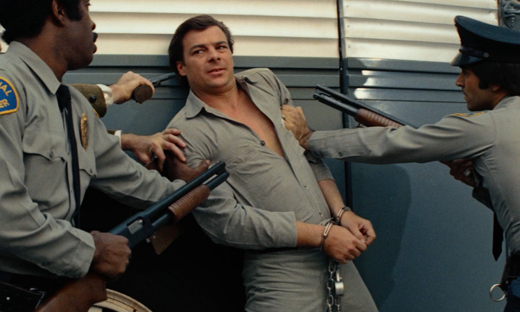 Assault on Precinct 13, 1976