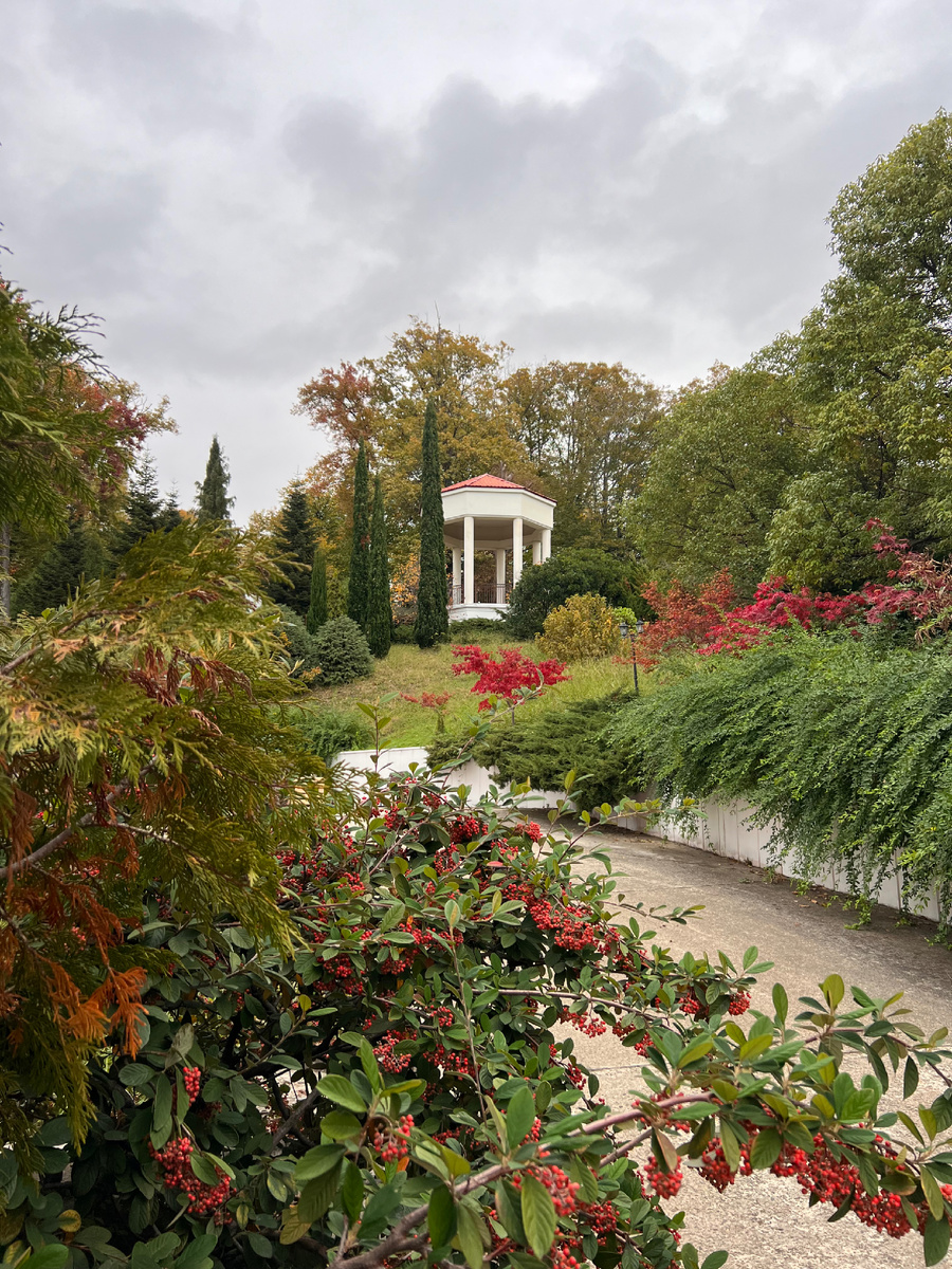 Санаторий «Юг» в г.Сочи  