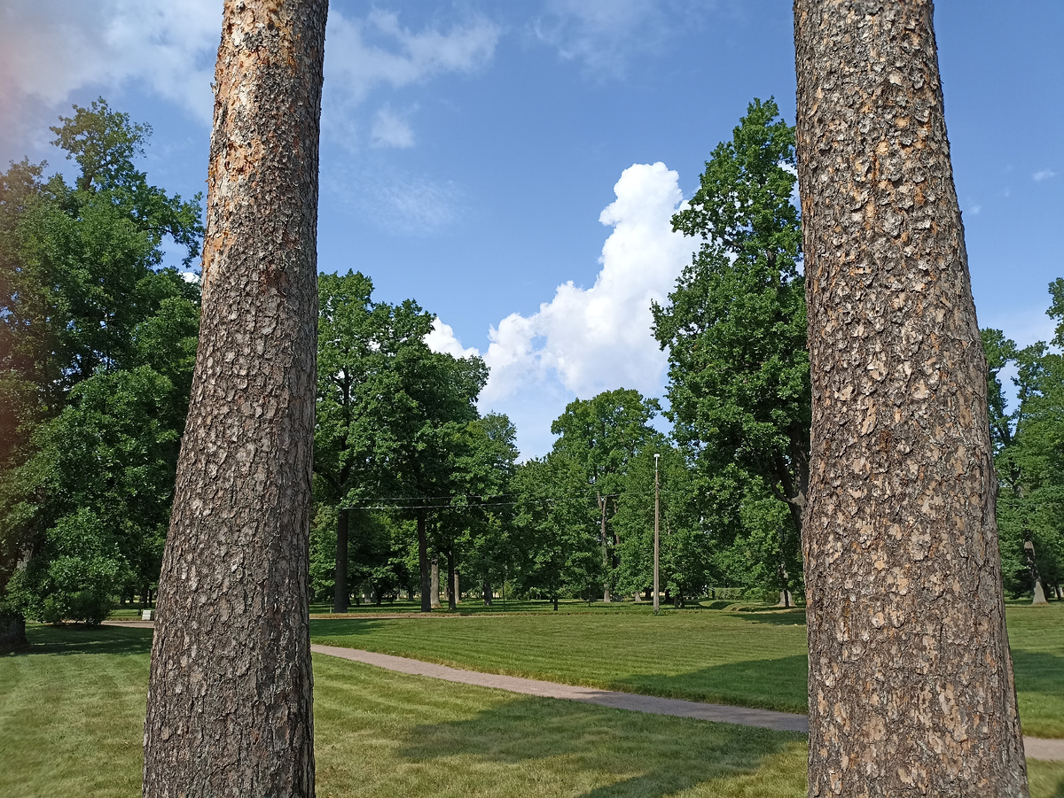 Парк Александрия