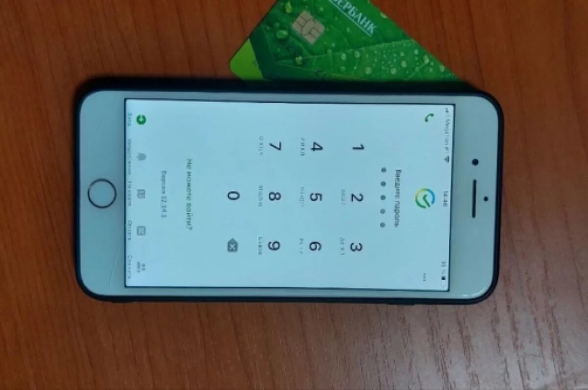    Игроман из Самары обокрал брата сельчанина