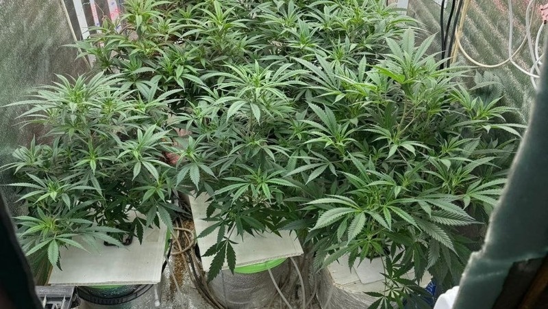    Фотографии оперативной съёмки Фото: УФСБ по Ставропольскому краю