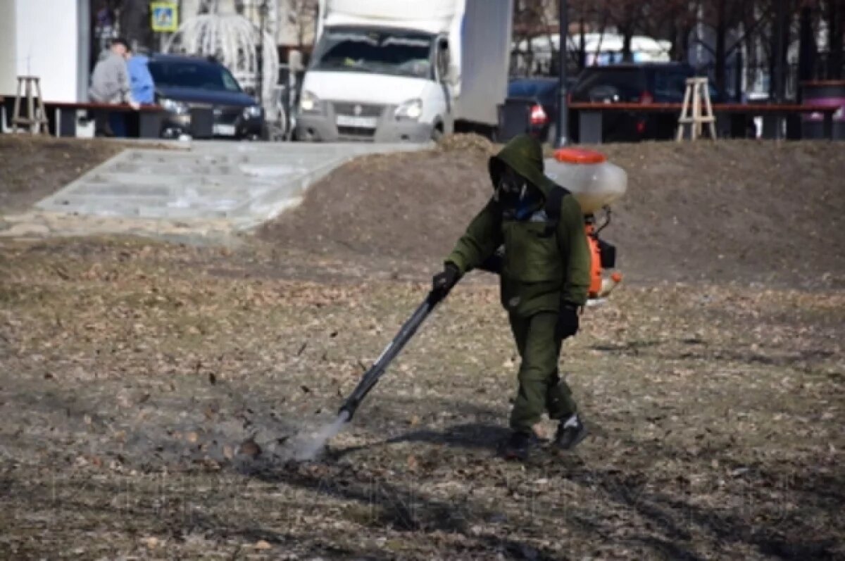    В Кургане приступают к обработке территорий от клещей