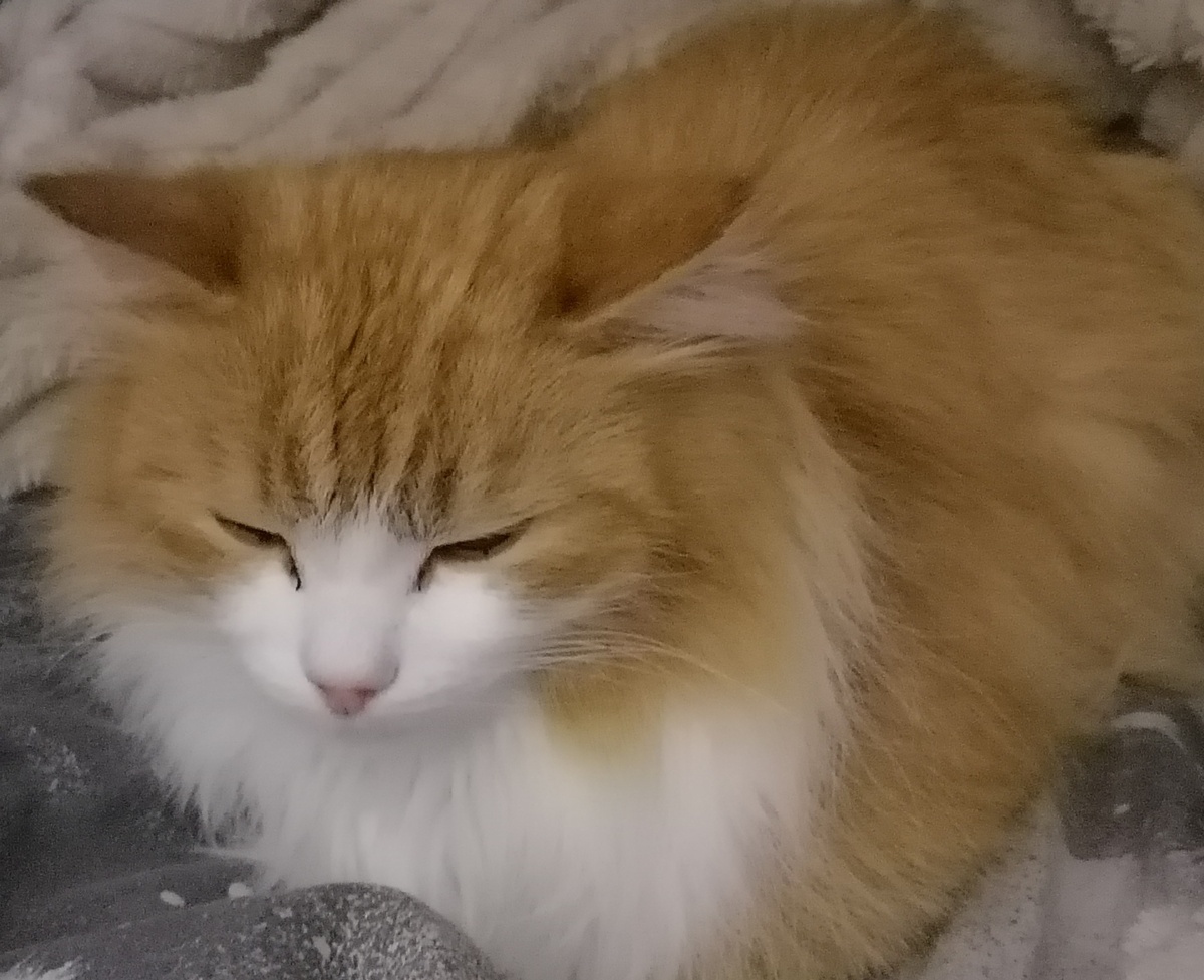 Только просмотрела на него, как Ленин на буржуазию...