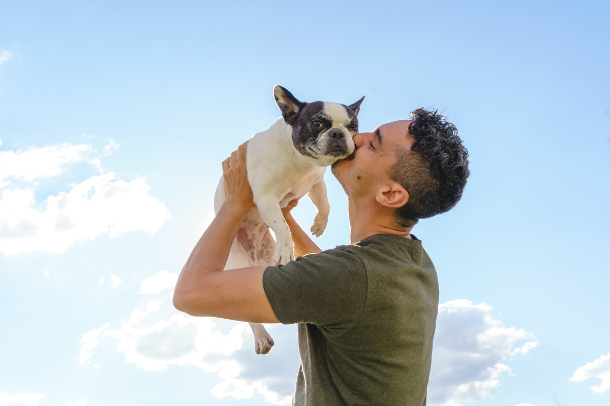 Онлайн-страховая «Лучи». Как уменьшить стресс у собаки при посещении ветклиники