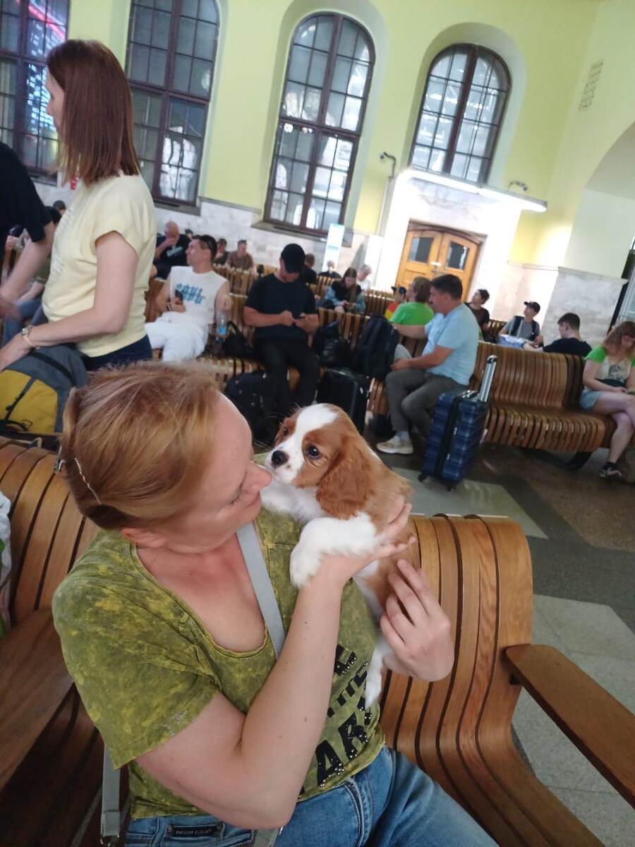 ...а давайте знакомиться?)