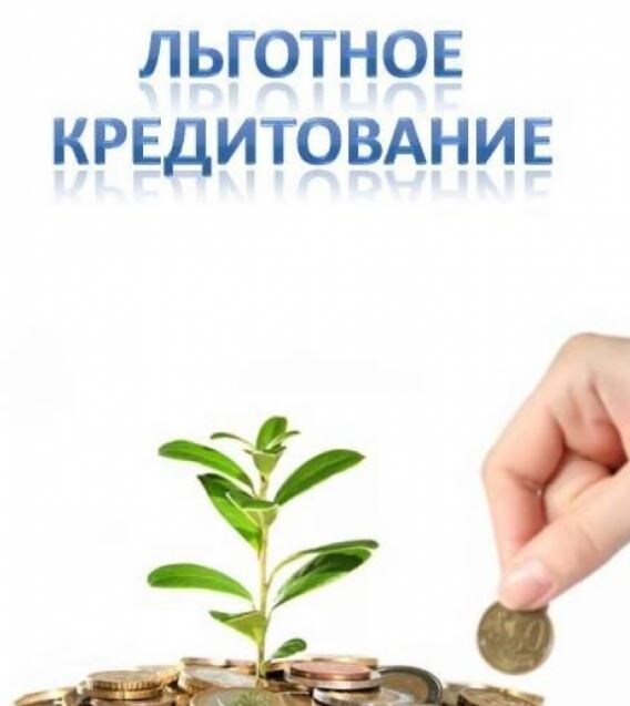 Хотите развивать бизнес, но не хватает оборотных средств? Государство предлагает льготные кредиты под 3% годовых, а в некоторых случаях — даже под 1%. Разбираемся, кто может получить такие займы, в каких банках они доступны и как оформить заявку.