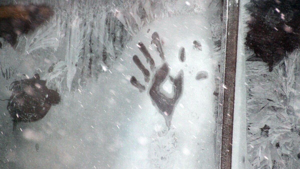     Источник: 1MI