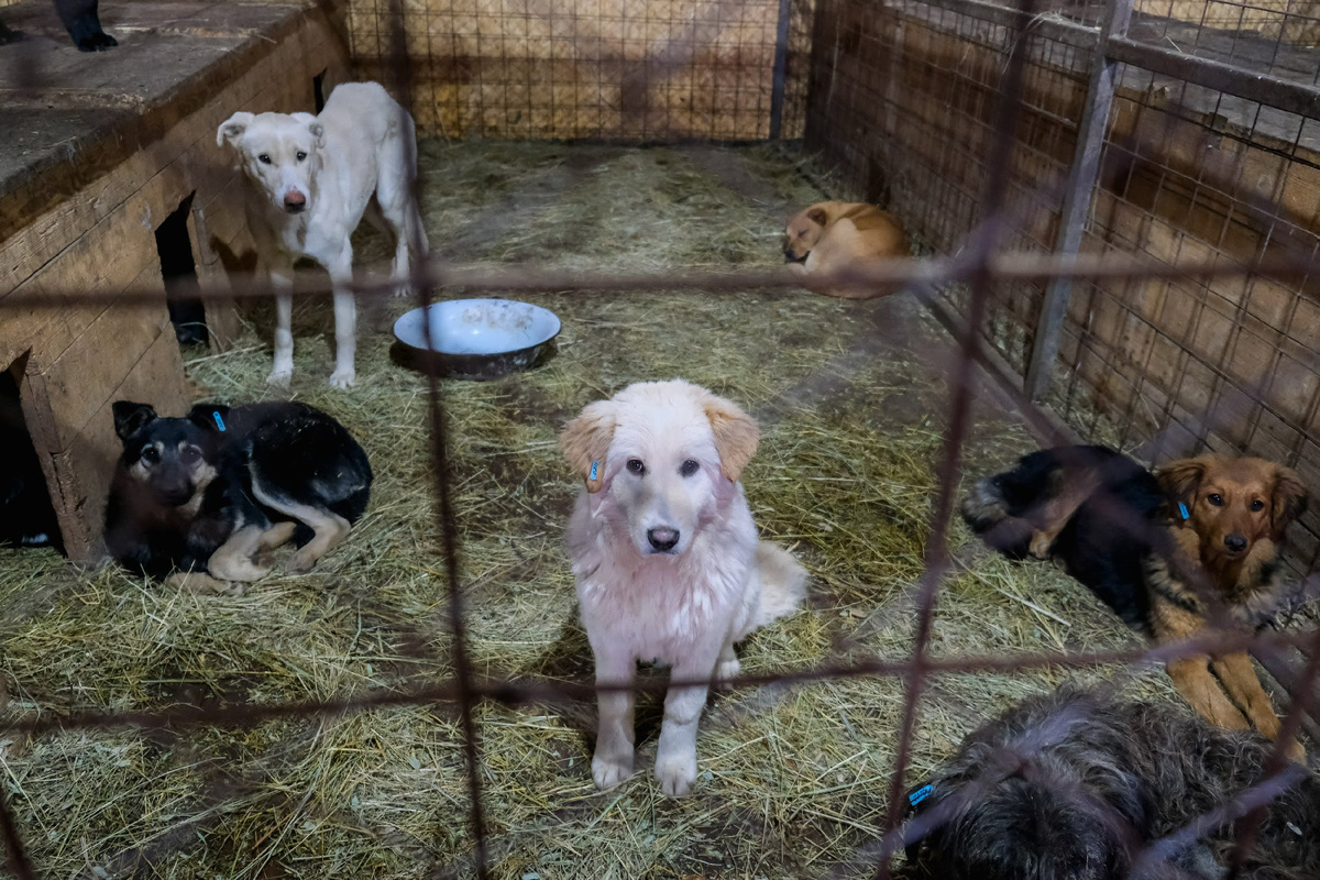 © Фото: ИД «Волгоградская правда» / архив