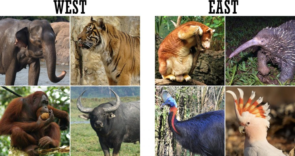 Изображение взято с просторов Интернета