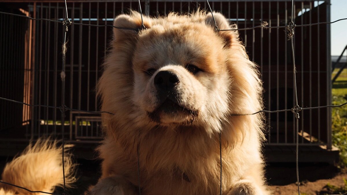 Фото: Владислав Шатило / РБК