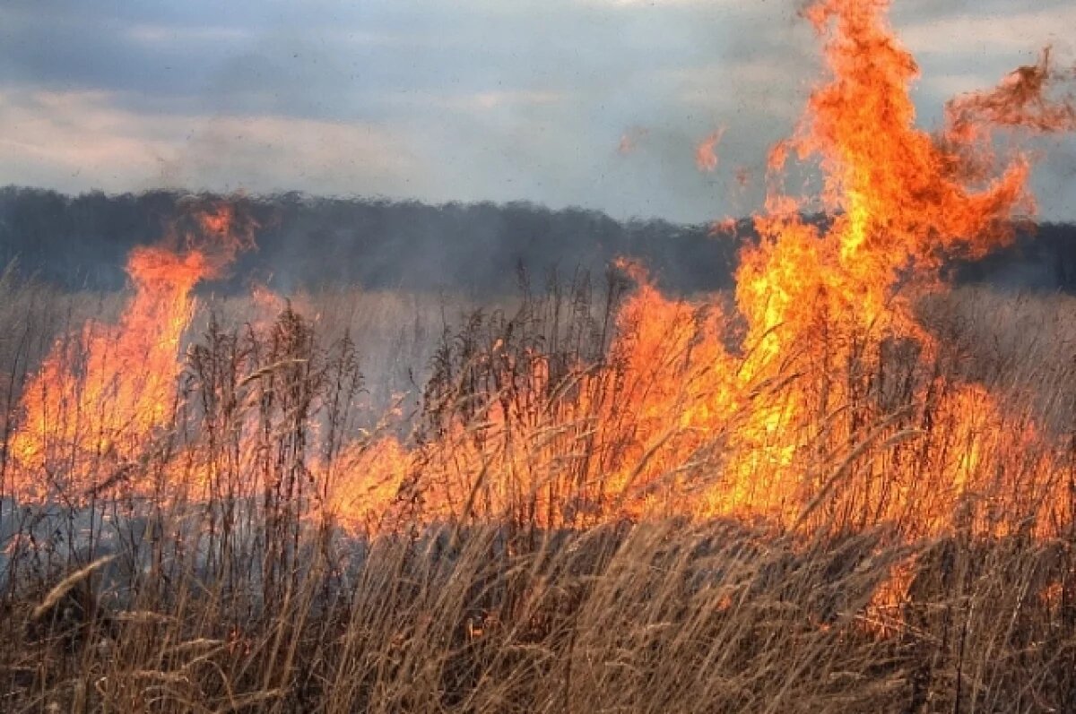    В Ульяновске за день потушили три природных пожара