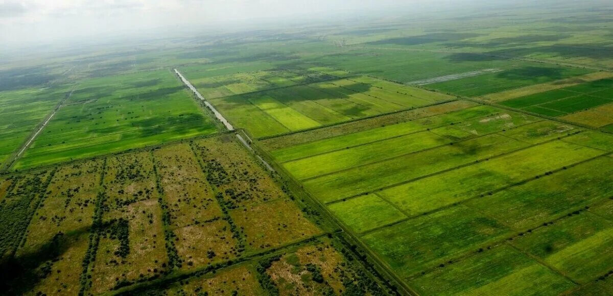 Как получить землю в Российской Федерации бесплатно 