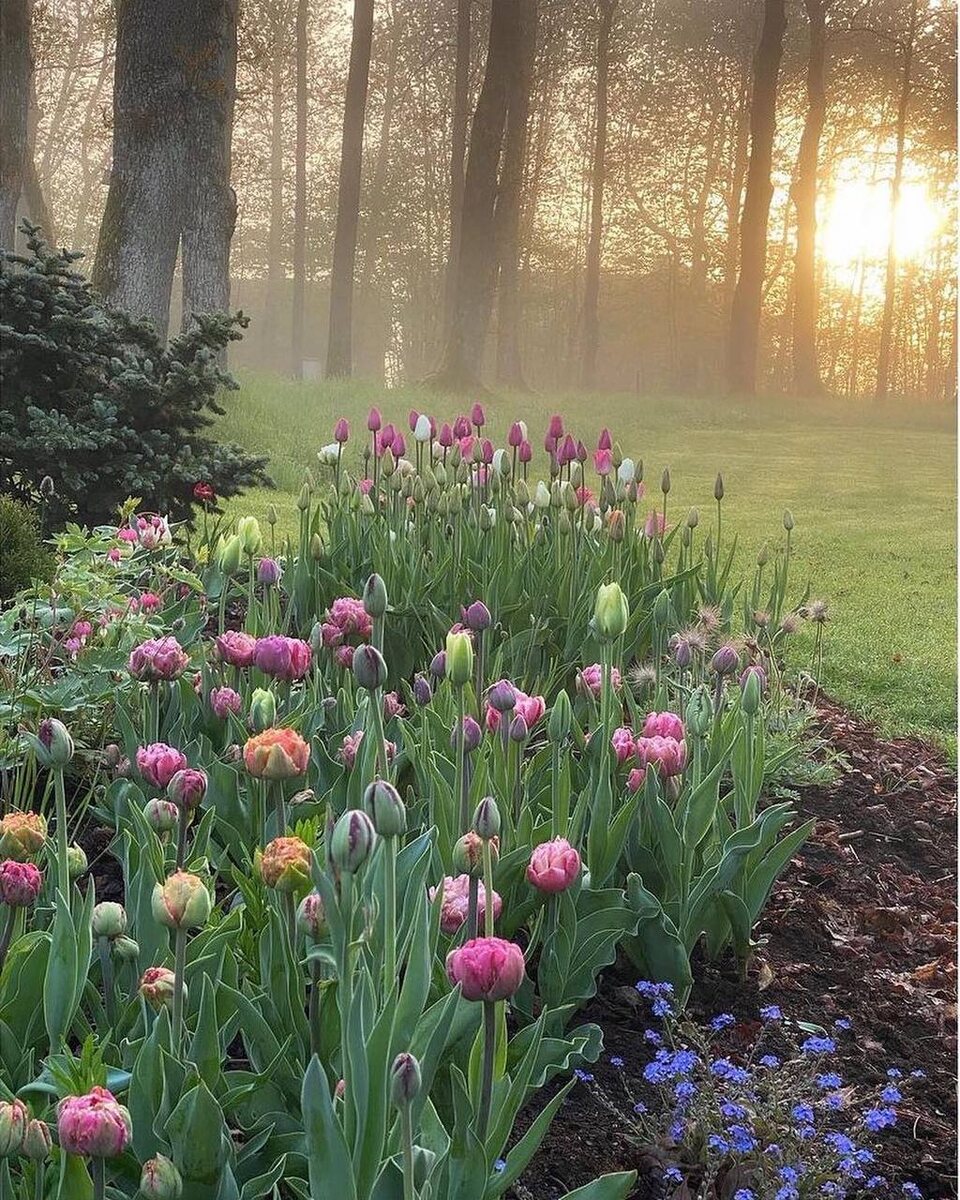 Фото с форума