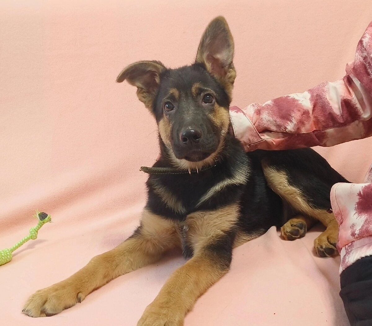 Знакомьтесь с Витой 