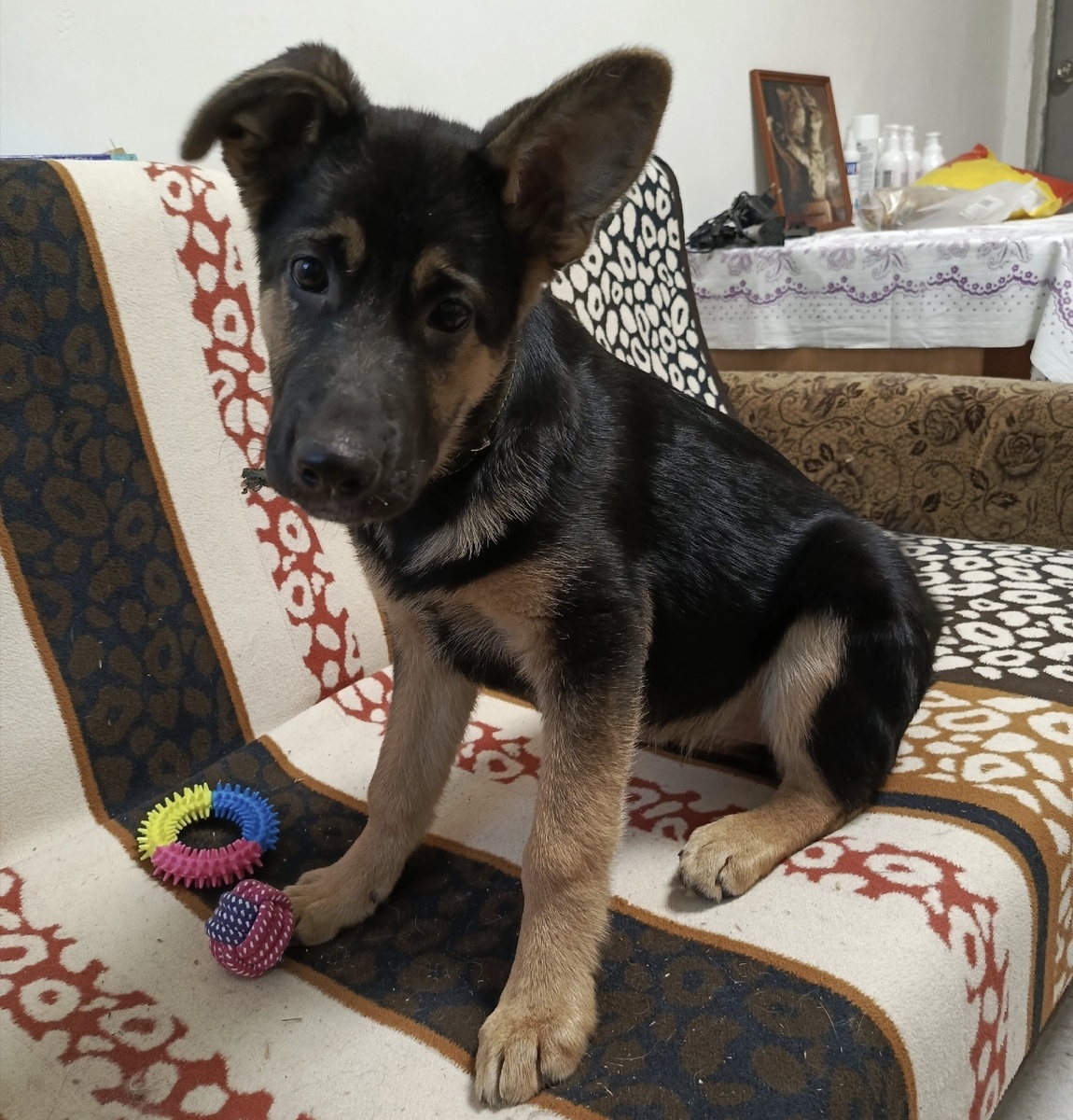 За что так со мной?