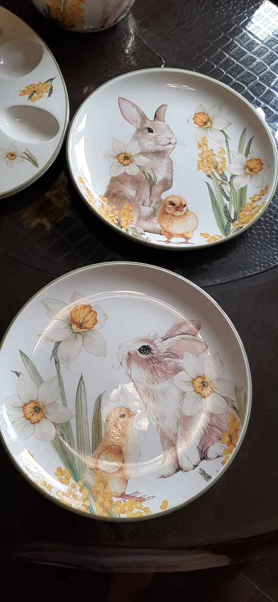 Нарциссы с яркой серединкой- моя любовная любовь 