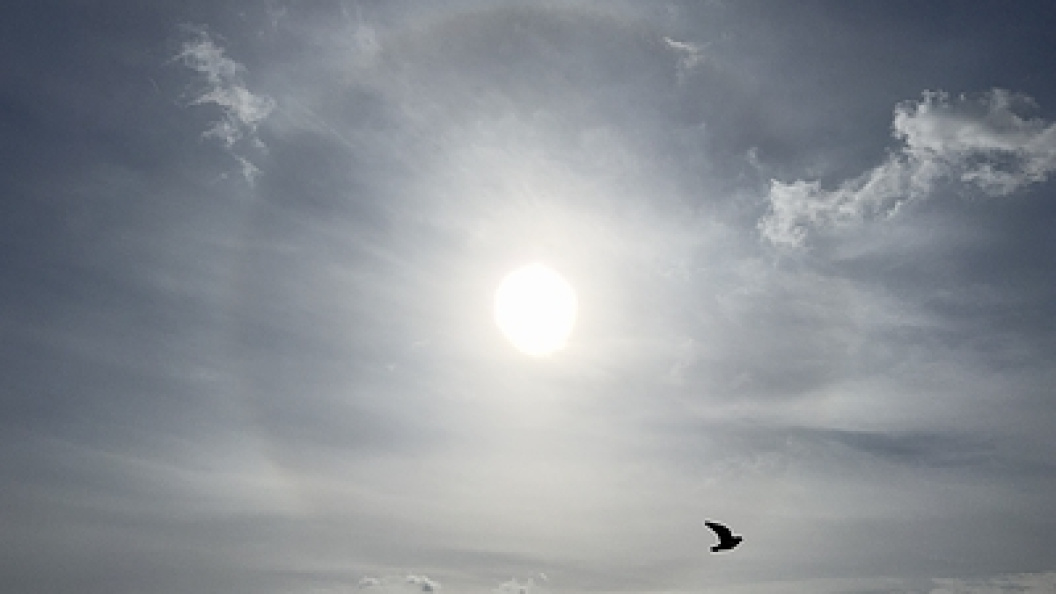    Alexander Legky/Globallookpress