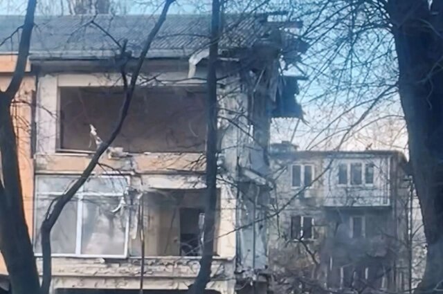    Фото:  АиФ/ Ольга Колесникова