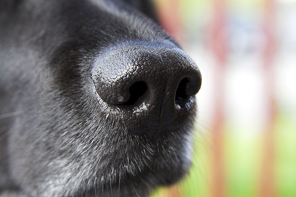 источник фото: https://orenburg.media/wp-content/uploads/2021/05/how-to-detect-the-stock-android-browser.jpg