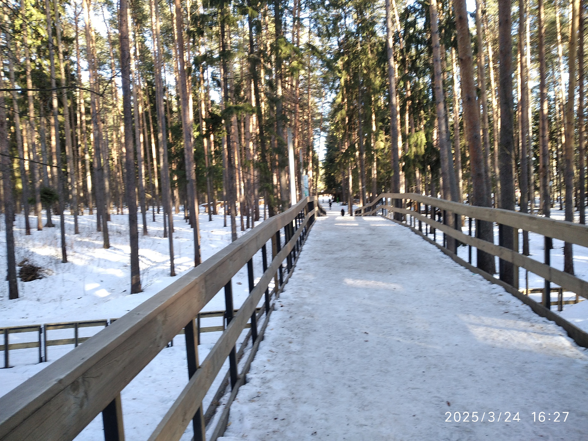 (фотография моя)