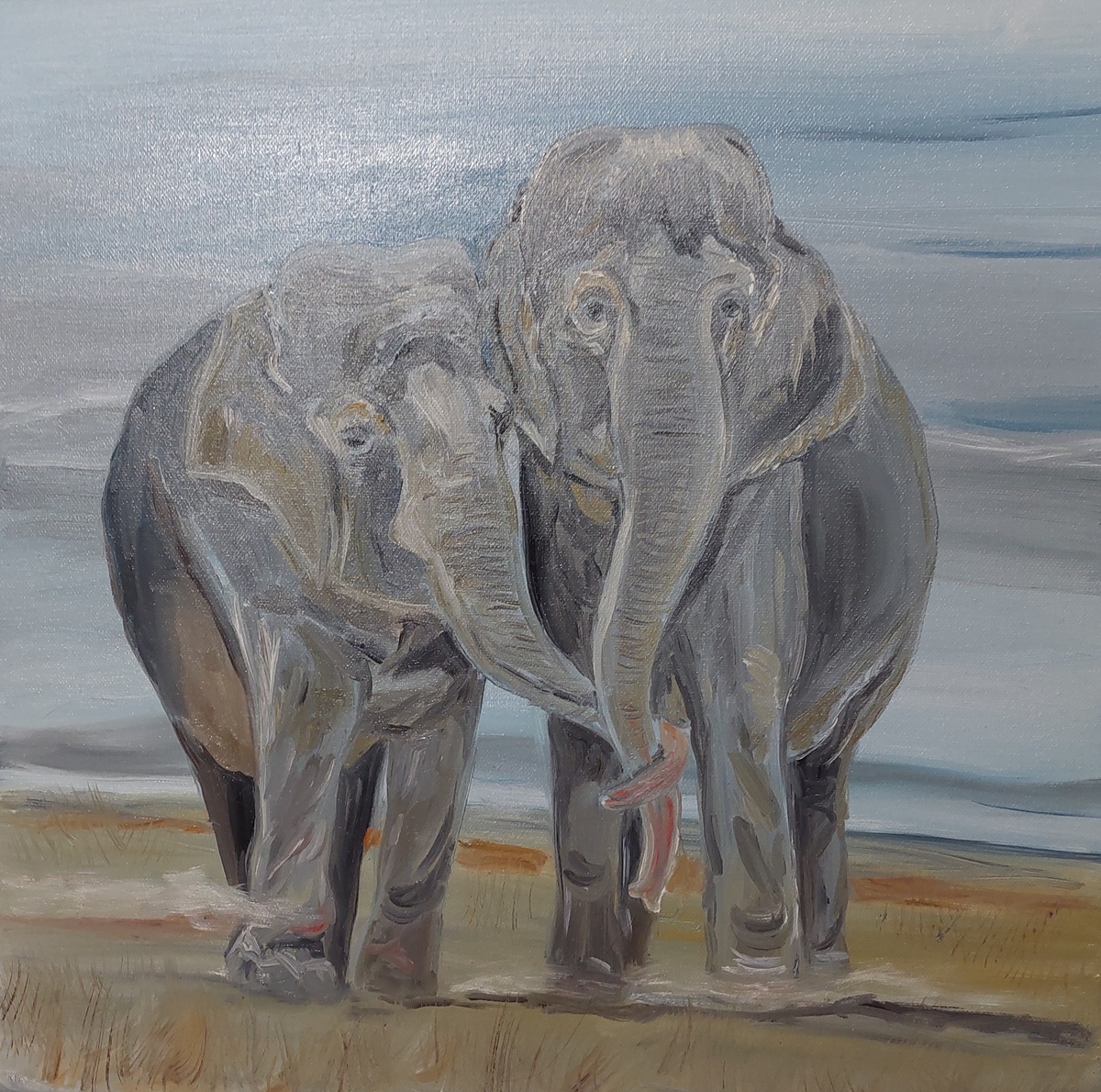 "Слоники", холст, масло, 50х50см, 2024, художник: Георгиева О.П.