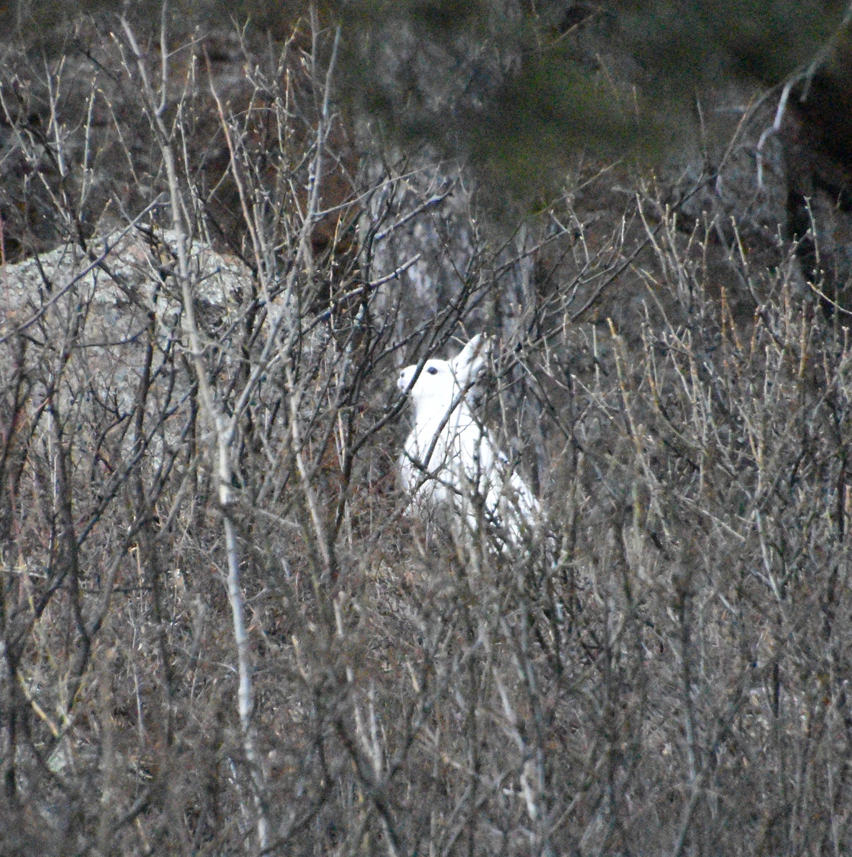 Фото: Надежда Гончарова 