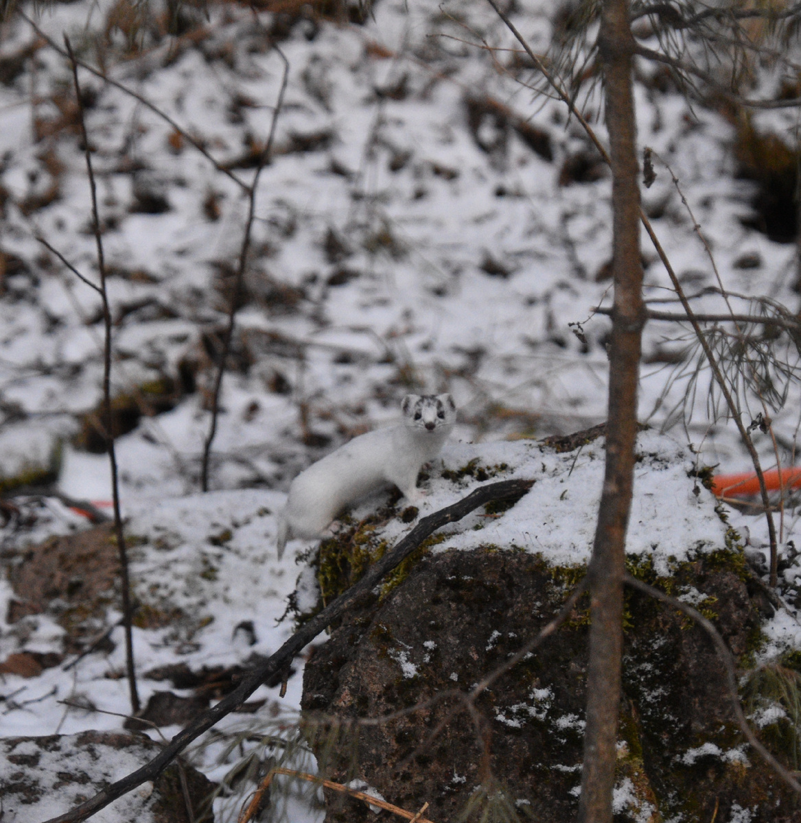 Фото: Надежда Гончарова 