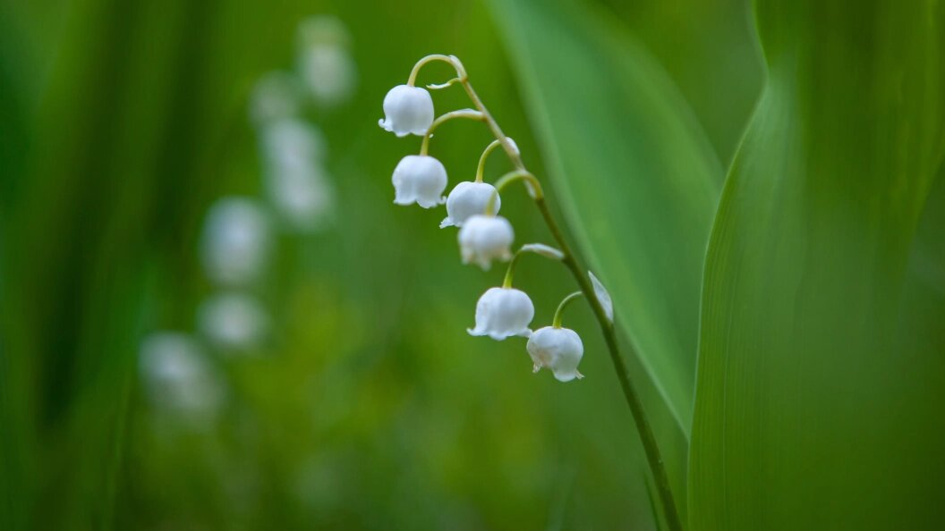    фото: Igor Podgorny/Globallookpress