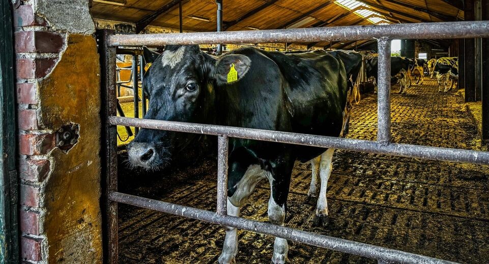    IMAGO/Jöran Steinsiek / www.globallookpress.com