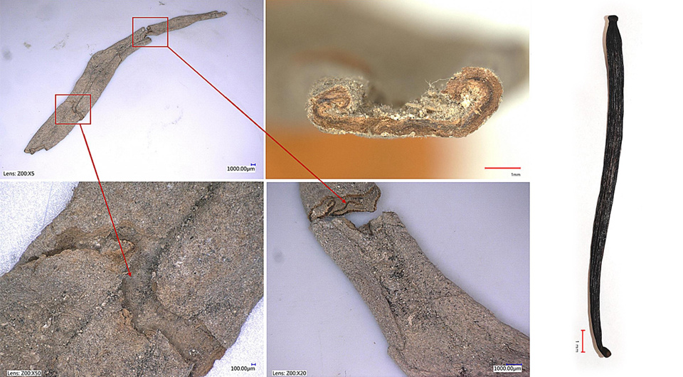   Jaromír Beneš et al. / Journal of Archaeological Science: Reports, 2025
