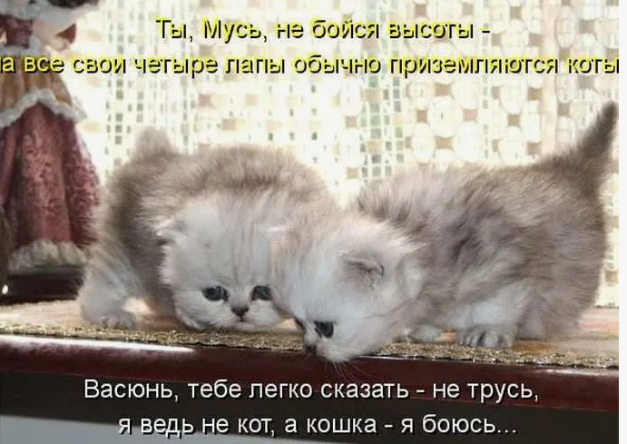 Фото из просторов интернета