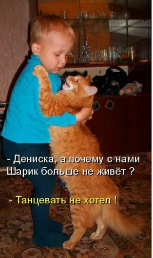 Фото из просторов интернета