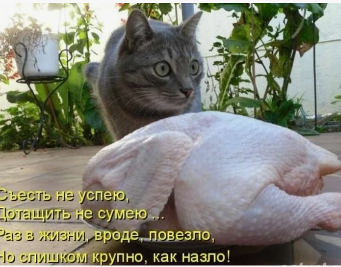 Фото из просторов интернета