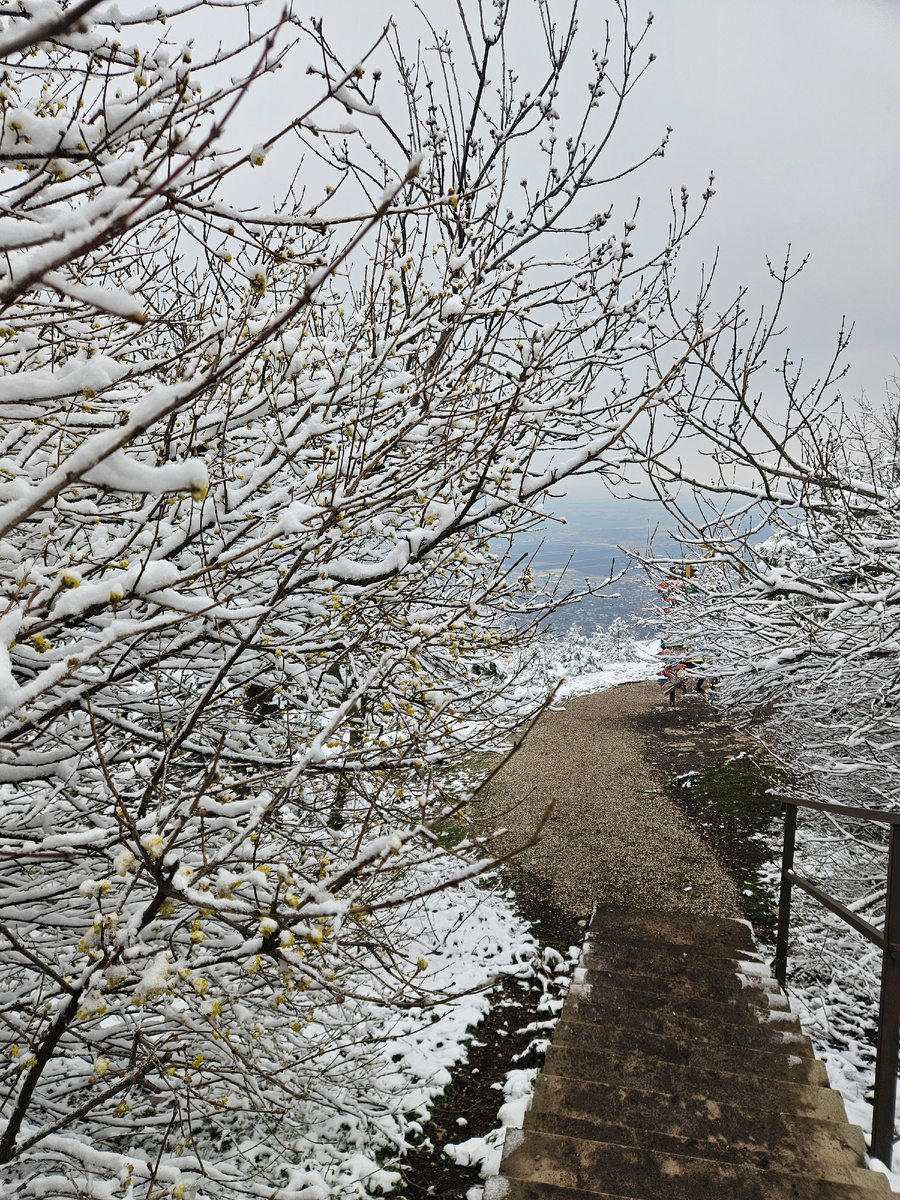 На вершине Машука