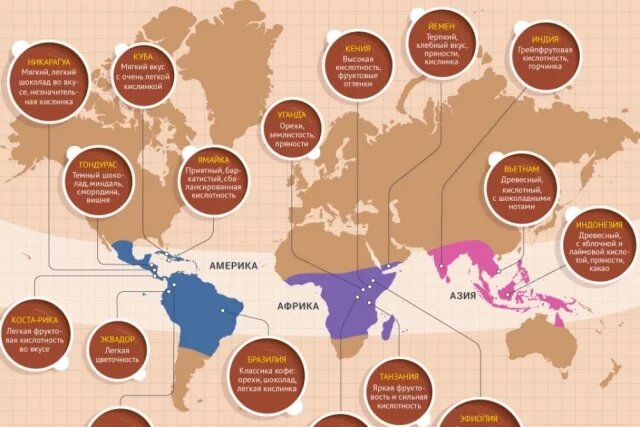    Мировая карта кофе. Где какой растет. Инфографика