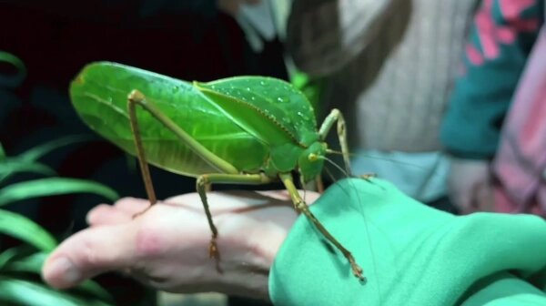 VK / Приморский океанариум