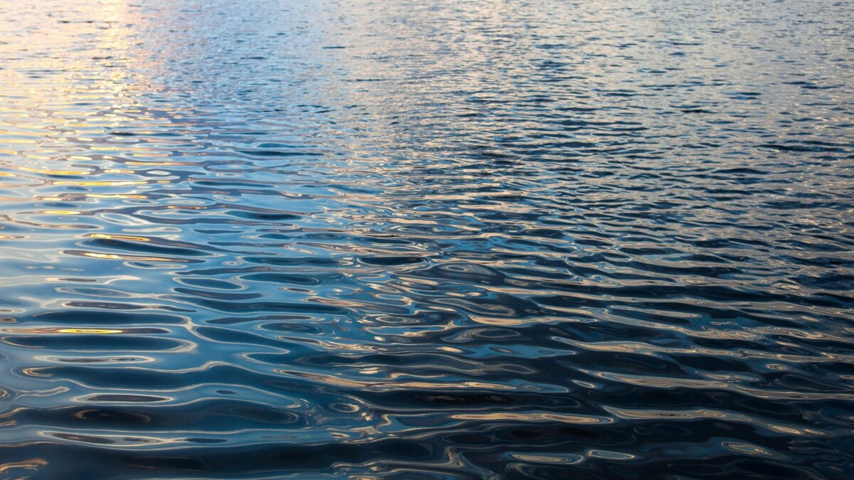    Фото: rootstock/Shutterstock/Fotodom