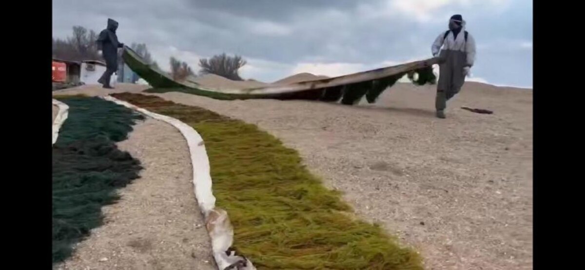 Фото: скриншот видео «МЧС России»