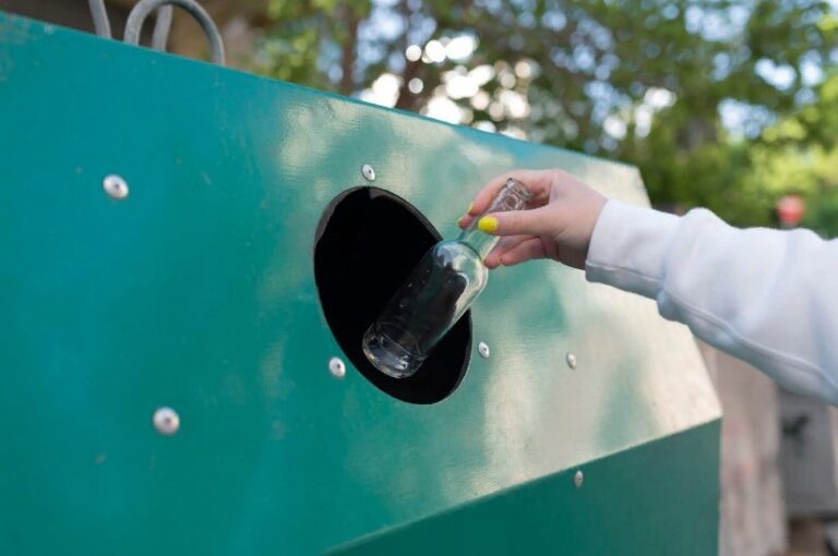    Фото: freepik.com/free-photo Анна Мигинеишвили