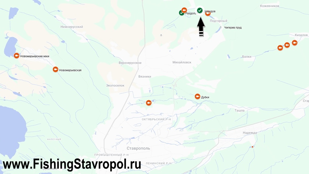 Платная рыбалка, водоем "Демидов"