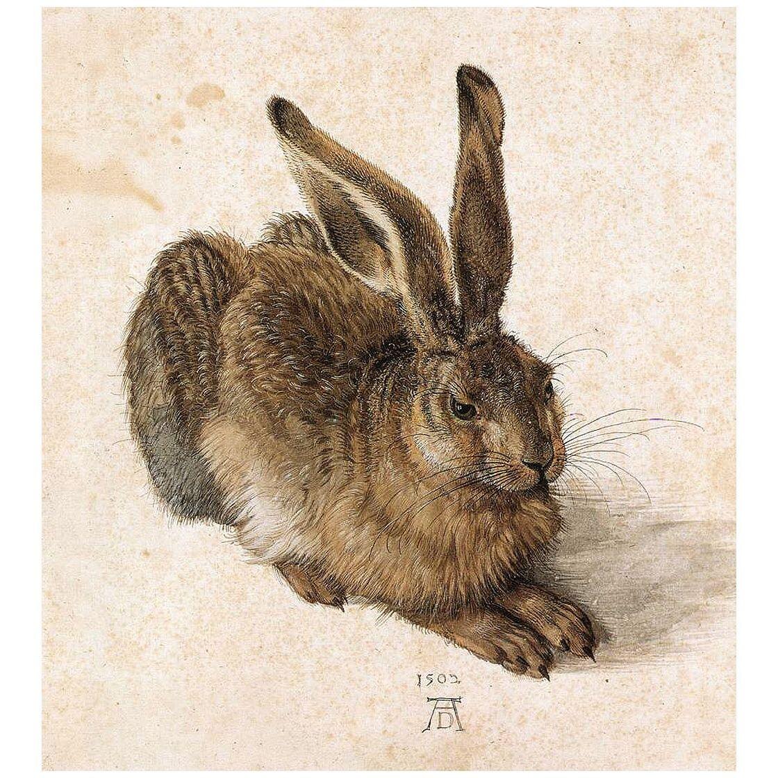 Albrecht Durer. Young Hare. 1502