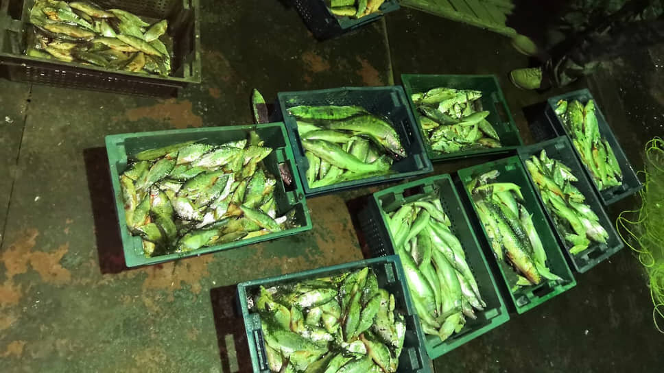 Фото: пресс-служба Пограничного управления ФСБ России по Ростовской области