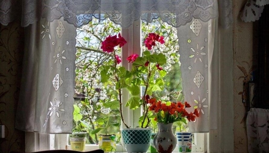 А за окном. а за окном