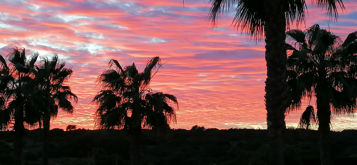 Один из моих закатов. Вид на наш сад