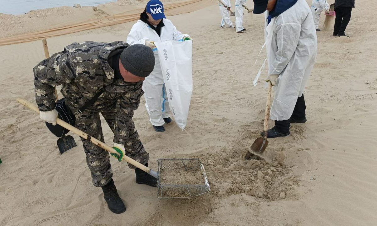    Фото t.me/opershtab23