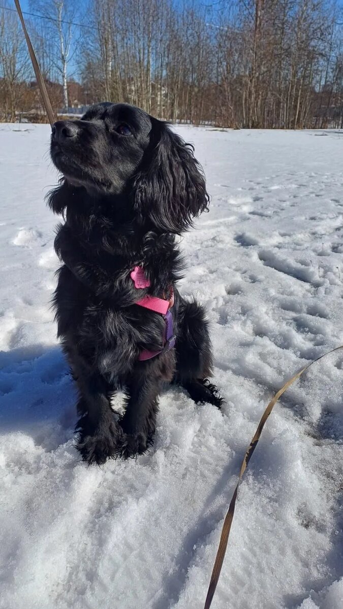 Спаня умница и красавица