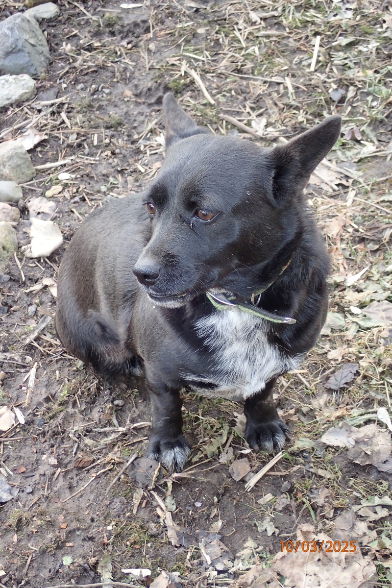 Лиза решилась на вход во двор. Очень не любит это дело, но Лена заставляет воздухом дышать